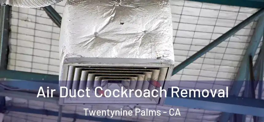  Air Duct Cockroach Removal Twentynine Palms - CA