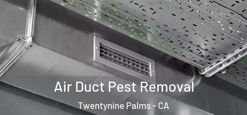 Air Duct Pest Removal Twentynine Palms - CA