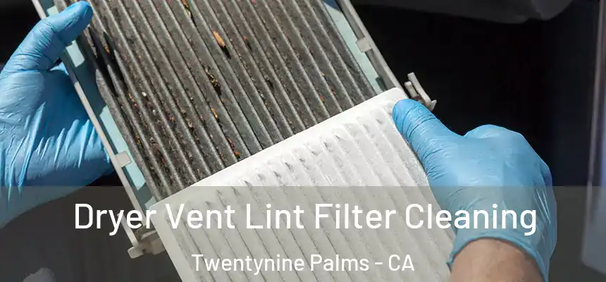  Dryer Vent Lint Filter Cleaning Twentynine Palms - CA