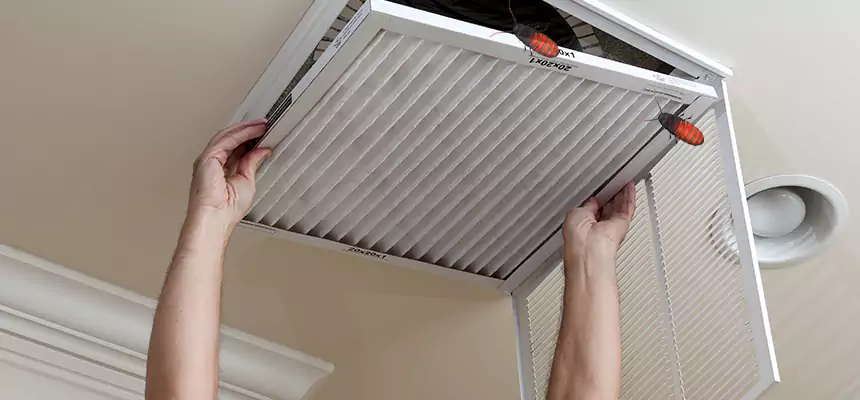 Preventive Cockroach-Proofing for Ducts in Twentynine Palms