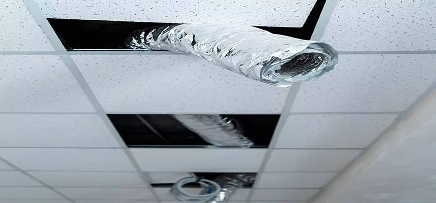 Our Air Duct Pet Hair Removal Services in Twentynine Palms, CA