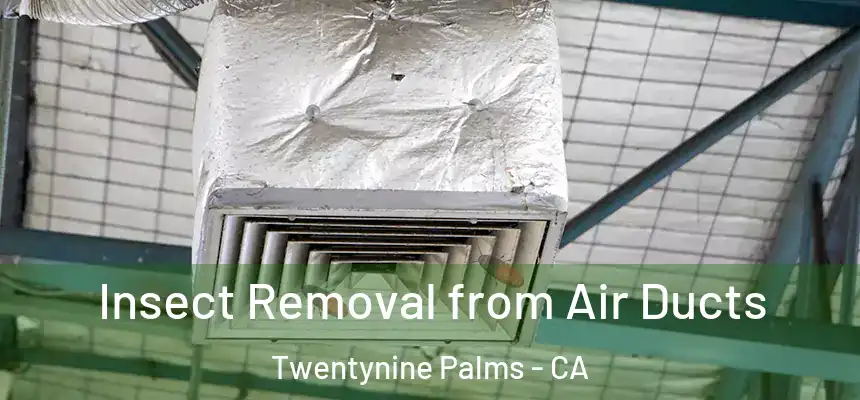  Insect Removal from Air Ducts Twentynine Palms - CA