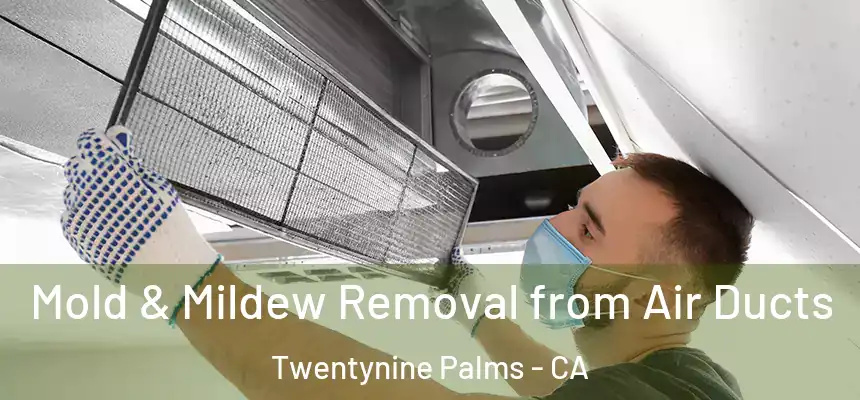 Mold & Mildew Removal from Air Ducts Twentynine Palms - CA