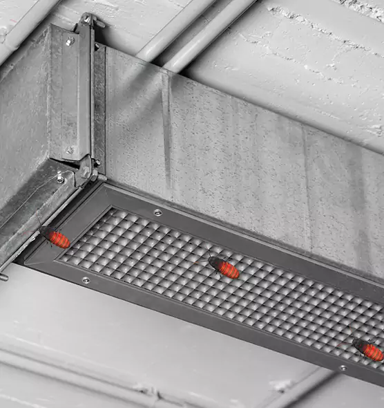 Affordable Insect Removal from Air Ducts in Twentynine Palms, CA