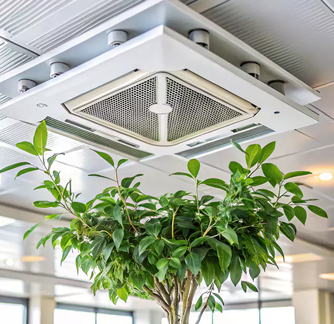 Why Homeowners & Businesses Trust Us in Twentynine Palms, CA